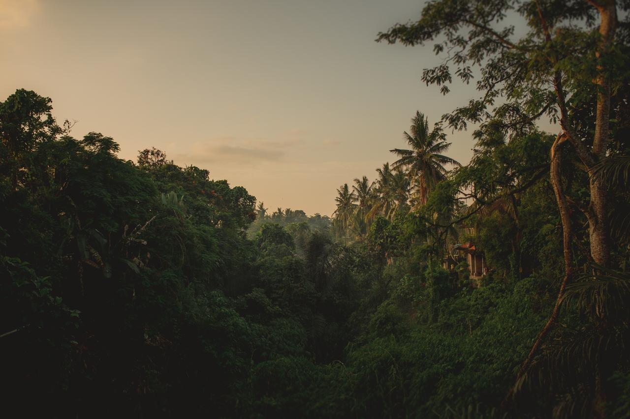 B Saya Villas Ubud Esterno foto